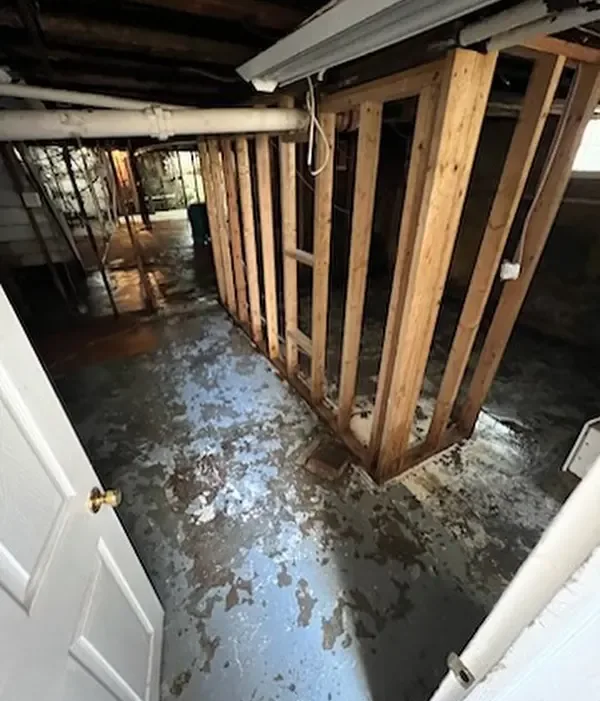 Exposed basement wall framing with finishes removed after water damage