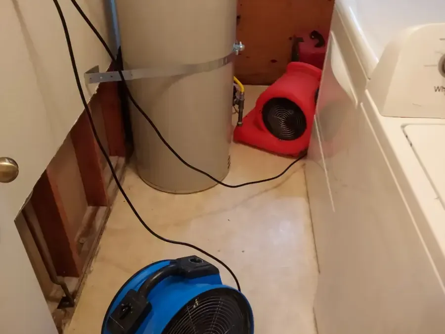 Blue and red air movers beside a washer and exposed wall framing