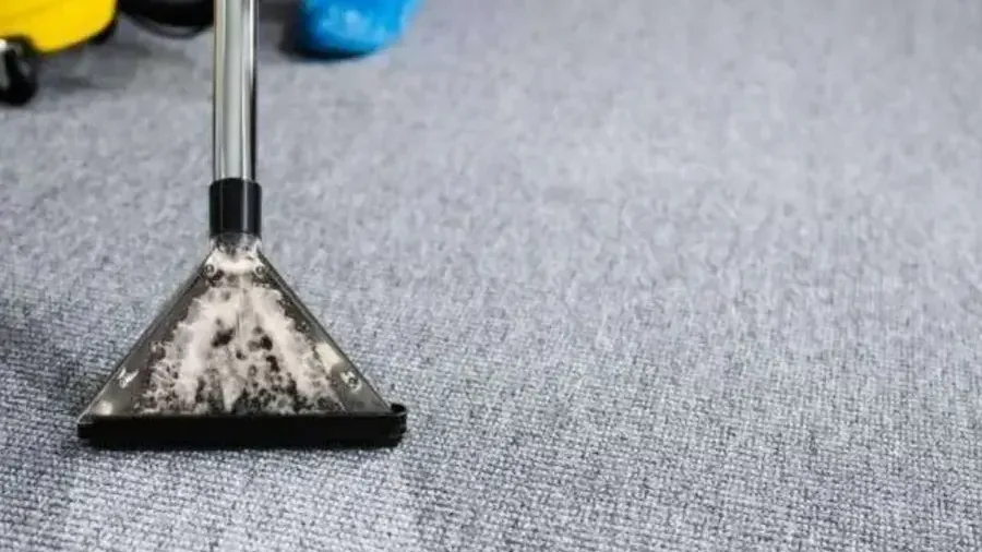 Close view of an extraction wand recovering water from wet gray carpet